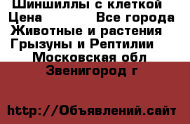 Шиншиллы с клеткой › Цена ­ 8 000 - Все города Животные и растения » Грызуны и Рептилии   . Московская обл.,Звенигород г.